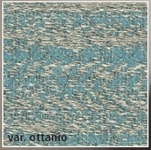 Carica l'immagine nel visualizzatore di Gallery, CARMEN TRAPUNTA